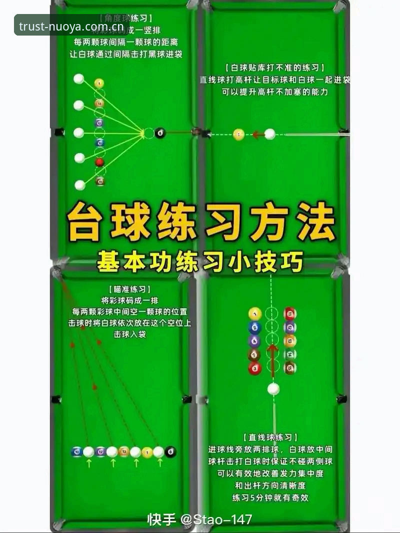 新手必看：诺亚体育可靠吗？从入门到精通的全面解析