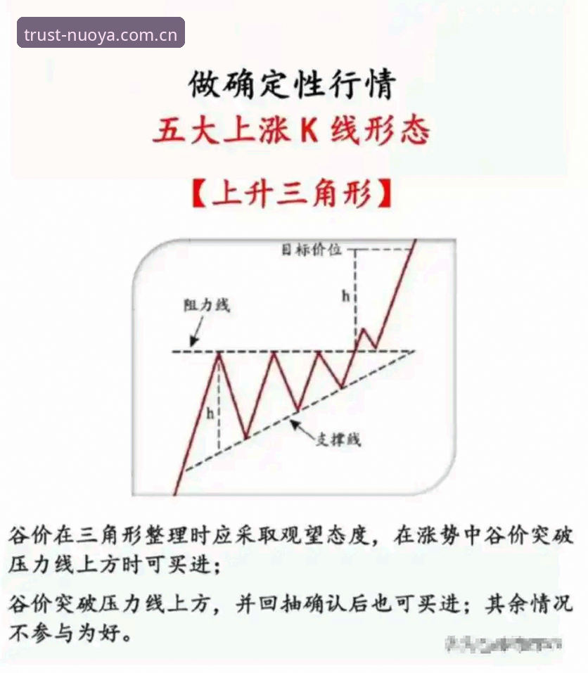 创新探索者实测：诺亚NYT体育API必备的五大突破性功能与实战经验
